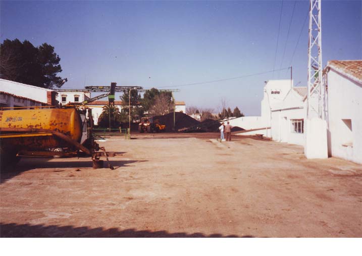 Patio Almazara
